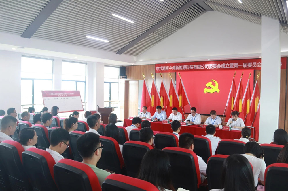 新起点开启新征程丨中共湖南金宝慱亚洲体育新能源党委正式成立