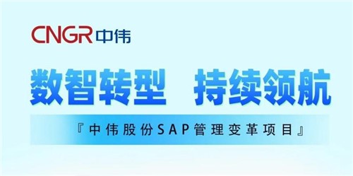 一图读懂｜金宝慱亚洲体育股份SAP管理变革
